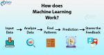 Machine Learning Tutorial All The Essential Concepts In Single Tutorial DataFlair