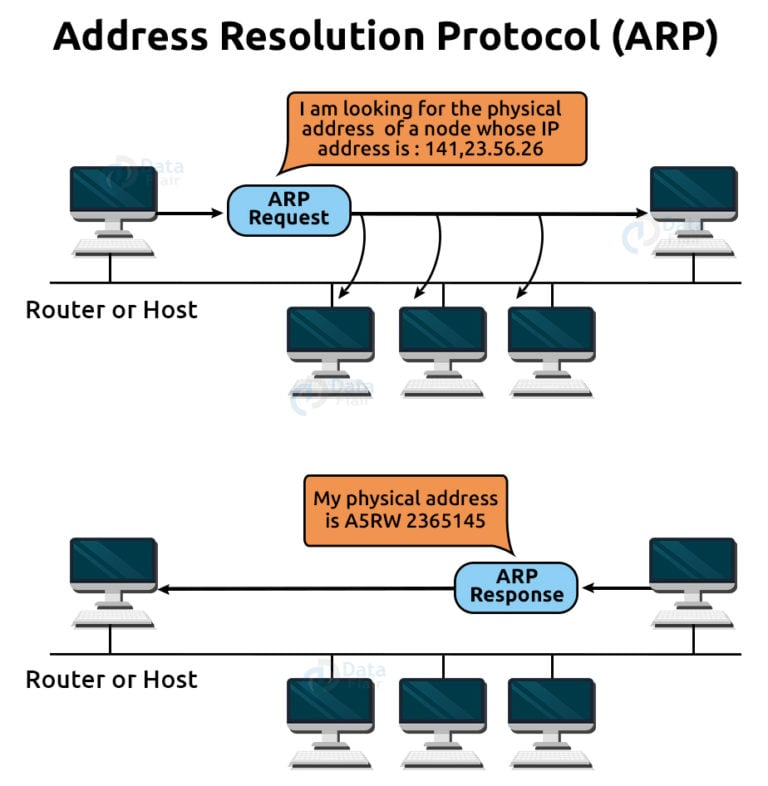 Network Layer Protocols DataFlair