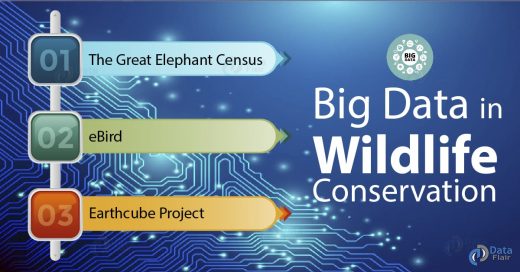 Big Data is Helping in Wildlife