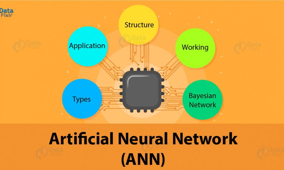 biological neural network tutorial