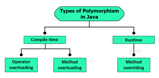 book class polymorphism java code