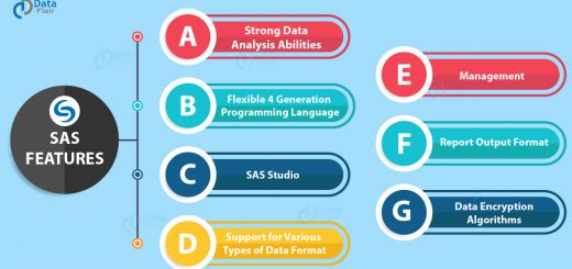 SAS Features