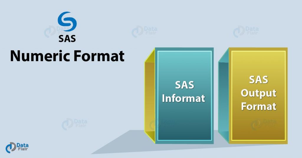 SAS Numeric Format
