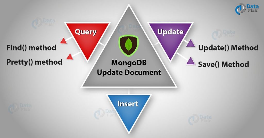 MongoDB Update Document