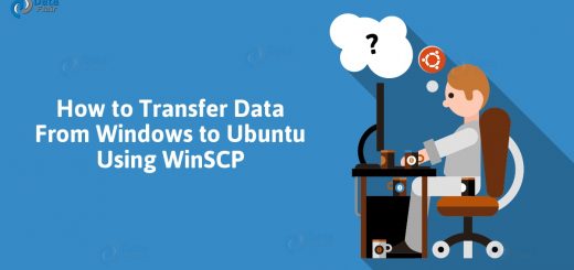 How to Transfer Data From Windows to Ubuntu Using WinSCP
