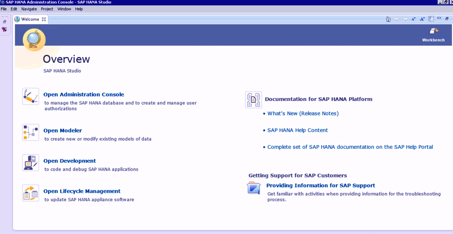 sap hana studio options