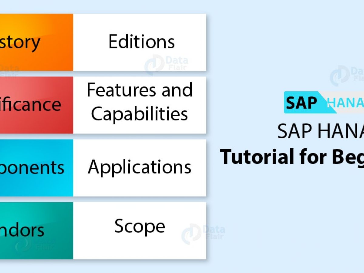 Sap Business One Tutorial For Beginners - Loxalaunch