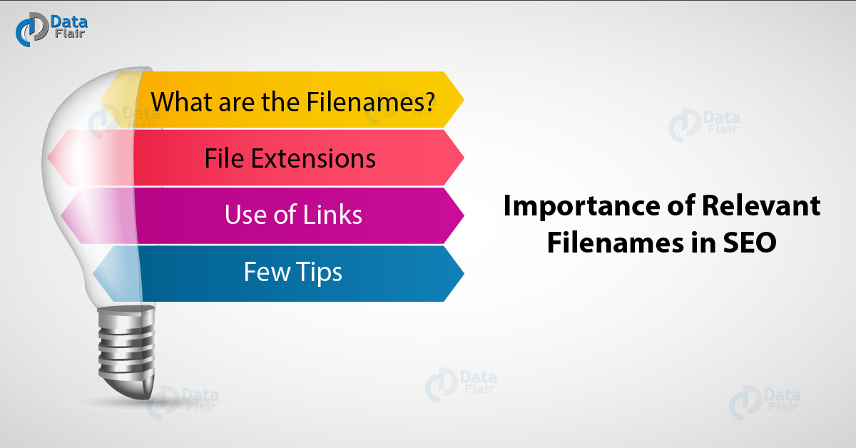 What are File Extensions and why are they important?