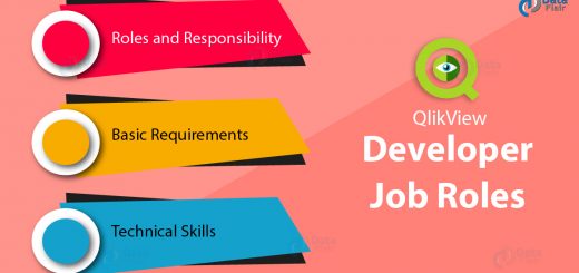 QlikView Developer Job Roles - Technical Skills & Requirements