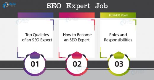 SEO Expert