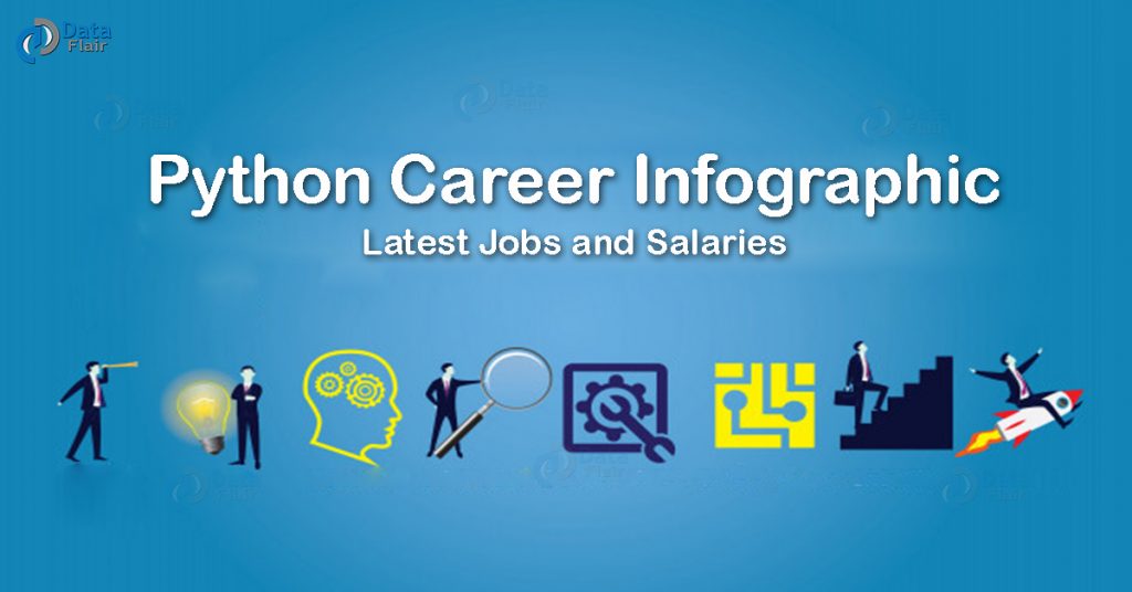 Python Career Infographic