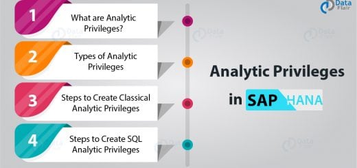 Analytic Privileges in SAP HANA