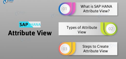 SAP HANA Attribute View