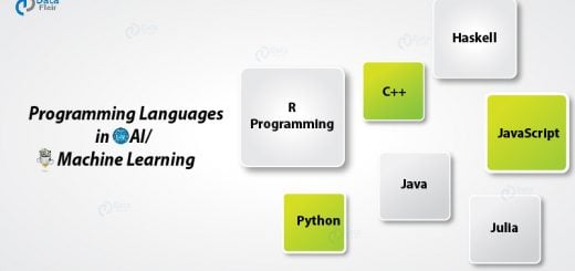 Programming Languages in AI Machine Learning