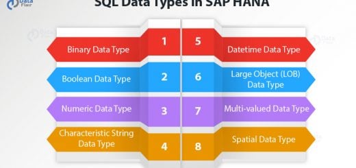 8 SQL Data Types in SAP HANA — Must check the Sixth one