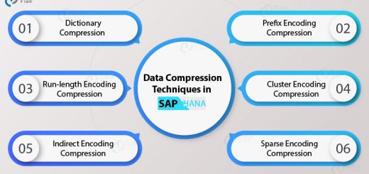 Data Compression Techniques in SAP HANA