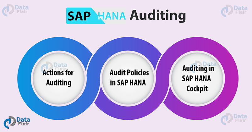 SAP HANA Auditing Topics