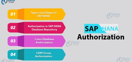 SAP HANA Authorization Topics