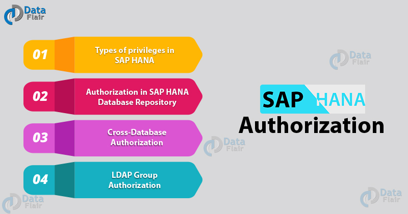 SAP HANA Authorization Topics