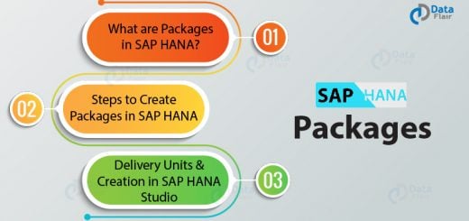 SAP HANA Packages