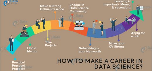 How to make a career in data science