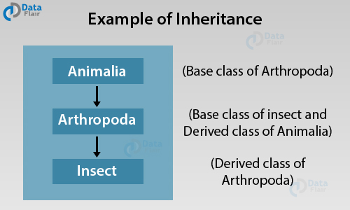 Inheritance in Java  Real Life Example of Inheritance in Java