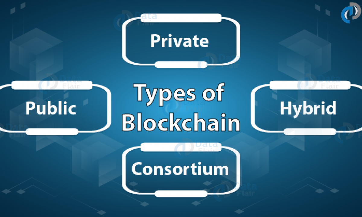 Types of Blockchains - Decide which one is better for your Investment Needs  - DataFlair