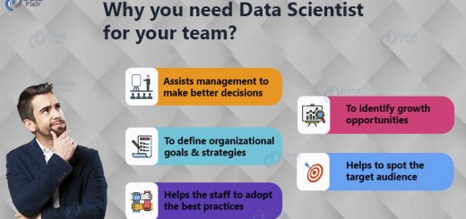 Why hire data scientist for your team