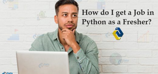 python fresher job
