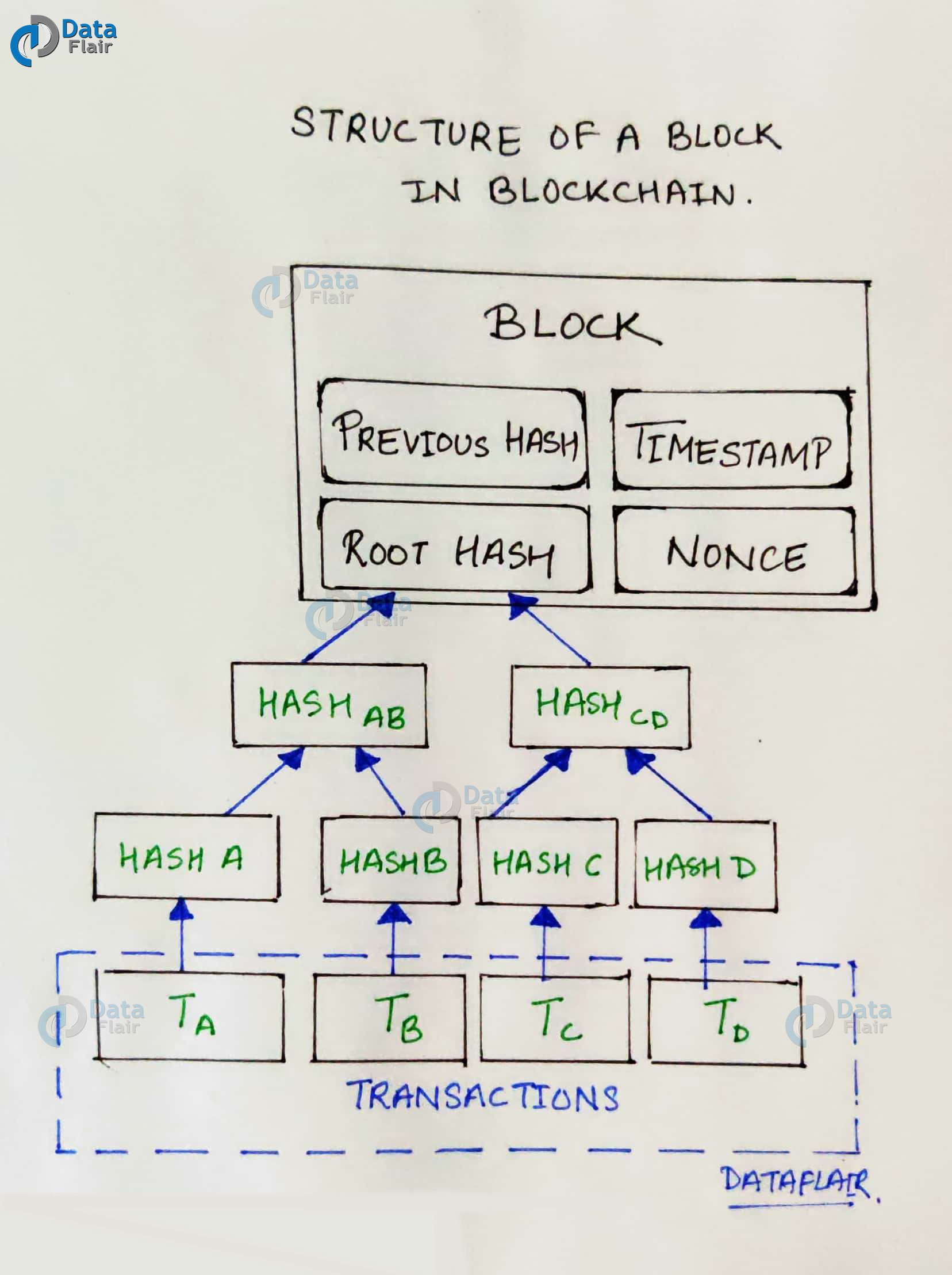 Understanding The Basics Of Blockchain Nourish The Roots Of Technology Dataflair
