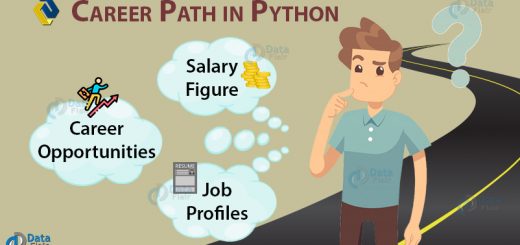Python career path - python job opportunities