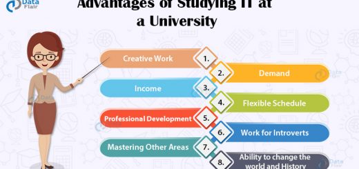 Advantages of Studying IT at a University