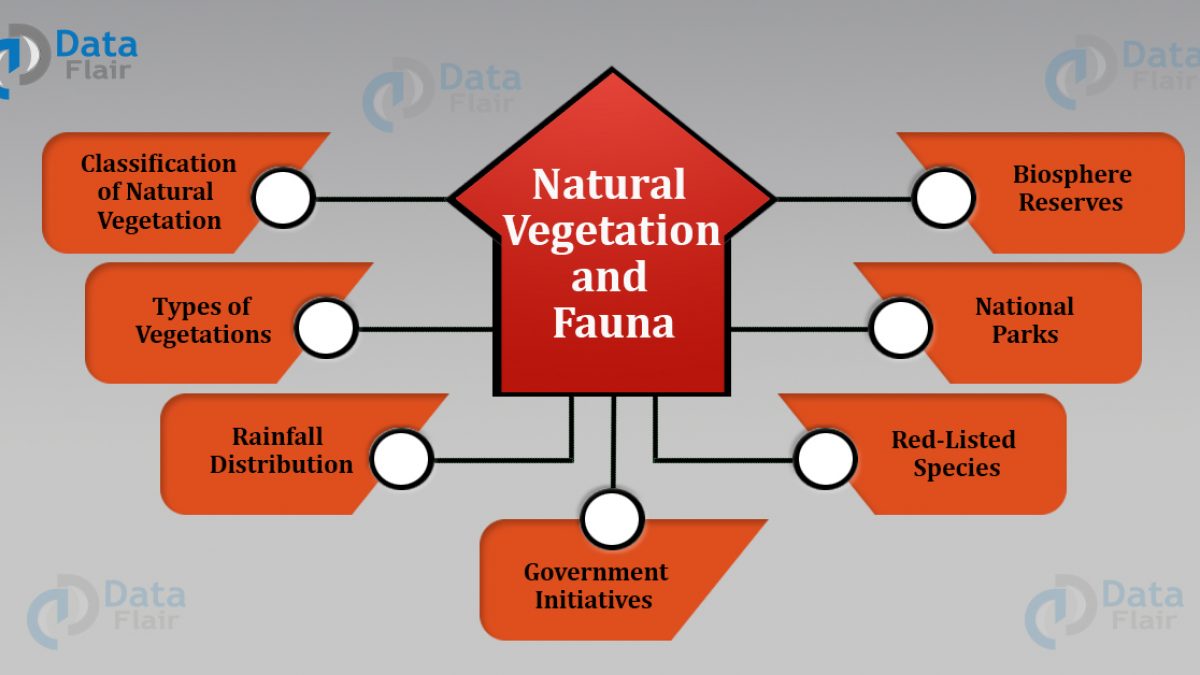 Natural Vegetation And Wildlife Of India Dataflair