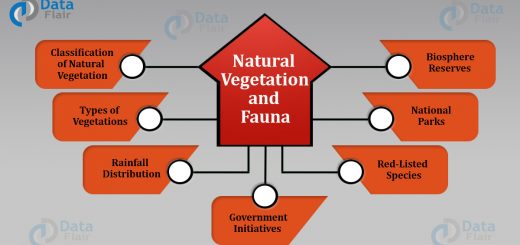 Natural Vegetation and Fauna