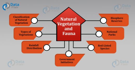 Natural Vegetation and Fauna