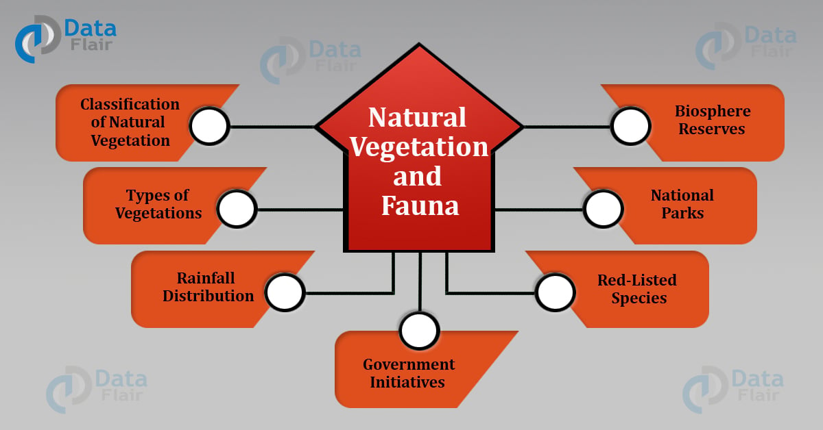 Natural Vegetation and Wildlife of India - DataFlair