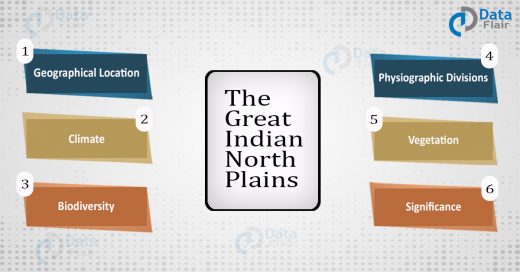 The great Indian north plains