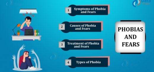 Phobia and fears