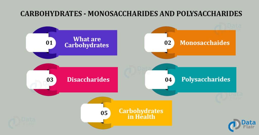 Carbohydrates- Monosaccharides and Polysachharides