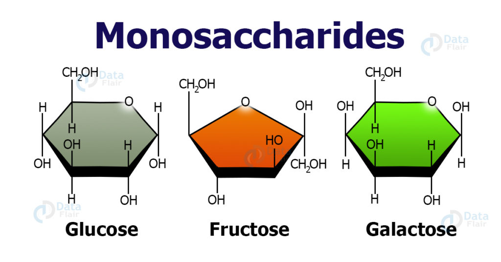 Carbohydrates-Classification, Sources and Examples - DataFlair