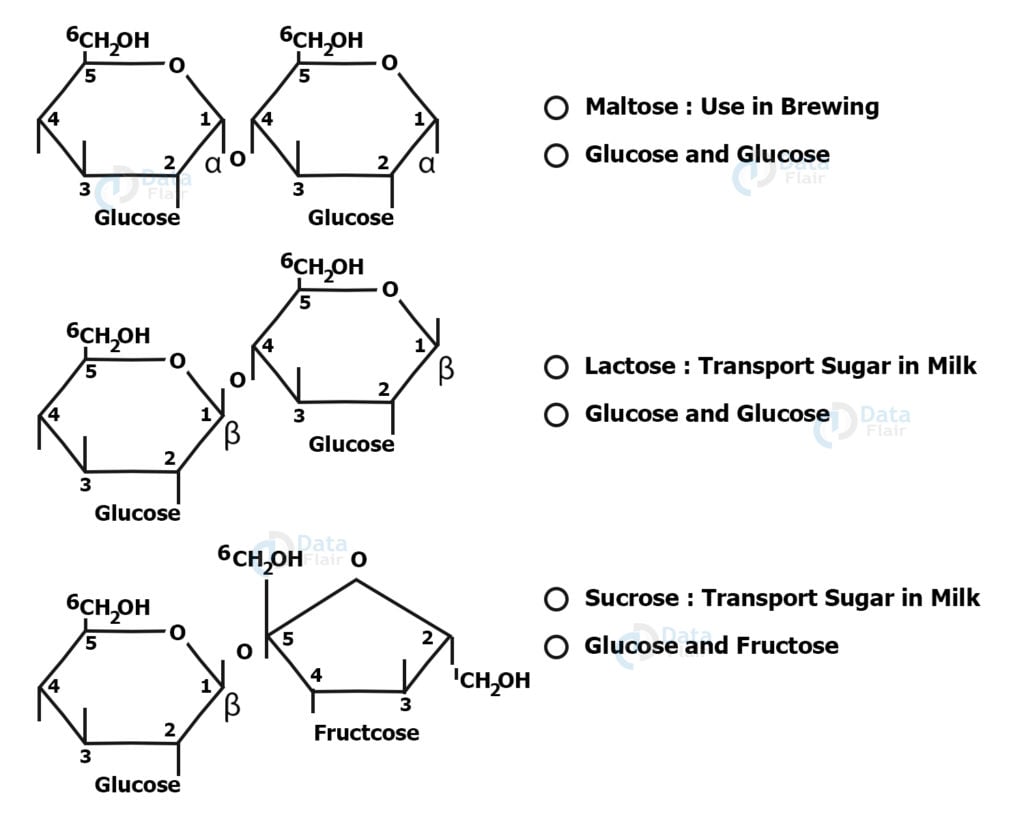 carbohydrates-classification-sources-and-examples-dataflair