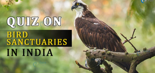 Quiz on Bird Sanctuaries in India