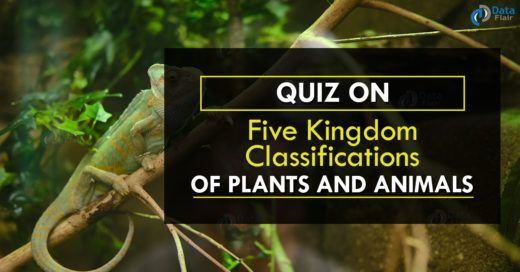 Quiz on Five Kingdom Classifications of Plants and Animals