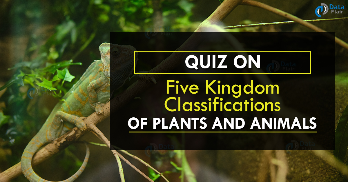 Quiz on Five Kingdom Classifications of Plants and Animals - DataFlair