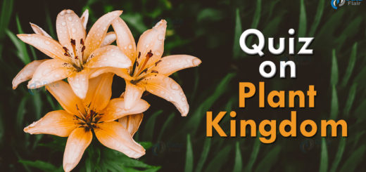 Quiz on Plant Kingdom