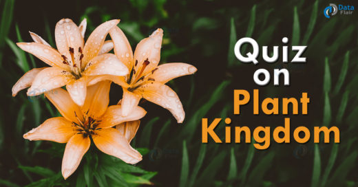 Quiz on Plant Kingdom