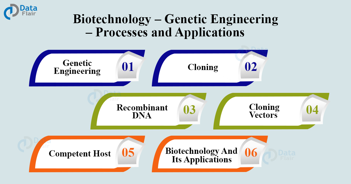 Biotechnology and its Applications - DataFlair