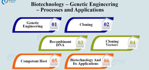 Biotechnology – Genetic Engineering – Processes and Applications