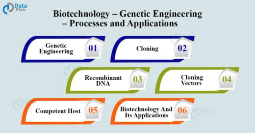 Biotechnology – Genetic Engineering – Processes and Applications