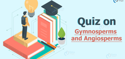 Quiz on Gymnosperms and Angiosperms